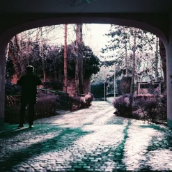 New 2021 LomoChrome Purple Pétillant 120 ISO 100–400 Lomochrome Films|120 Film