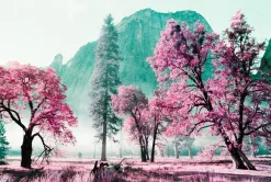 Best Sale 2021 LomoChrome Purple Pétillant 35 mm ISO 100–400 Lomochrome Films|35 Mm Film