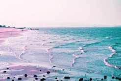 Best Sale 2021 LomoChrome Purple Pétillant 35 mm ISO 100–400 Lomochrome Films|35 Mm Film