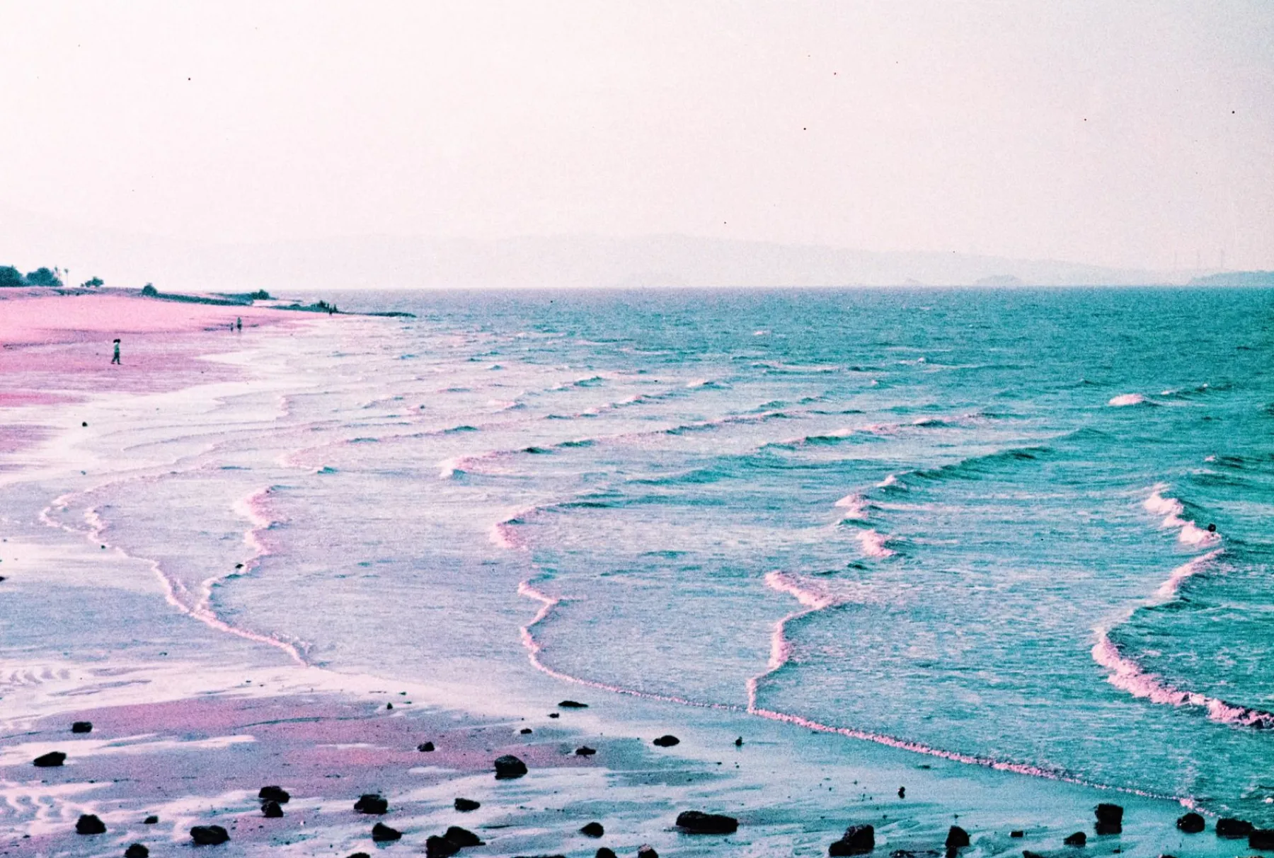 Best Sale 2021 LomoChrome Purple Pétillant 35 mm ISO 100–400 Lomochrome Films|35 Mm Film