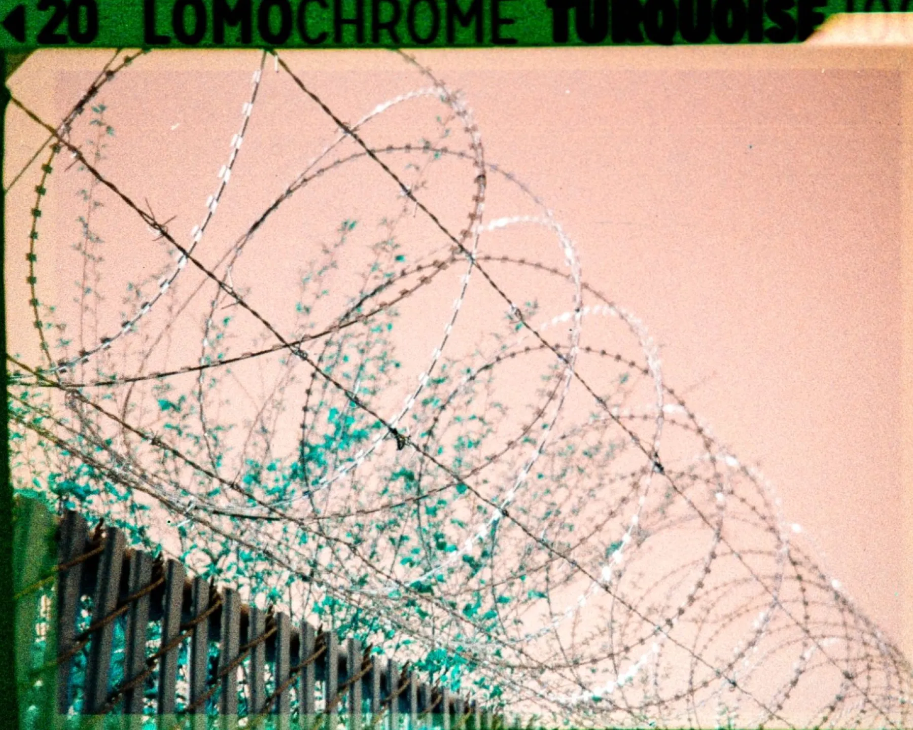 Best 2021 LomoChrome Turquoise 110 ISO 100–400 Lomochrome Films|110 Film