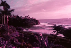 Discount Analogue Aqua Reloadable Camera & Underwater Case LomoChrome Purple Lomochrome Films|Simple Use