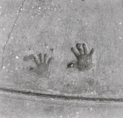 Clearance B&W Orca 110 ISO 100 110 Film|Lomomatic 110