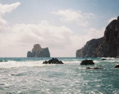 New Color Tiger 110 ISO 200 110 Film|Lomomatic 110