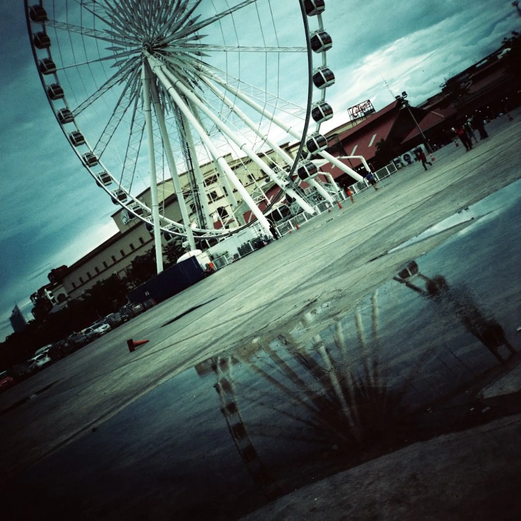 Best Sale Diana F+ Glass Lens Set Diana|Classics