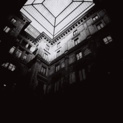 Sale Earl Grey B&W 120 ISO 100 – Pack of 3 120 Film