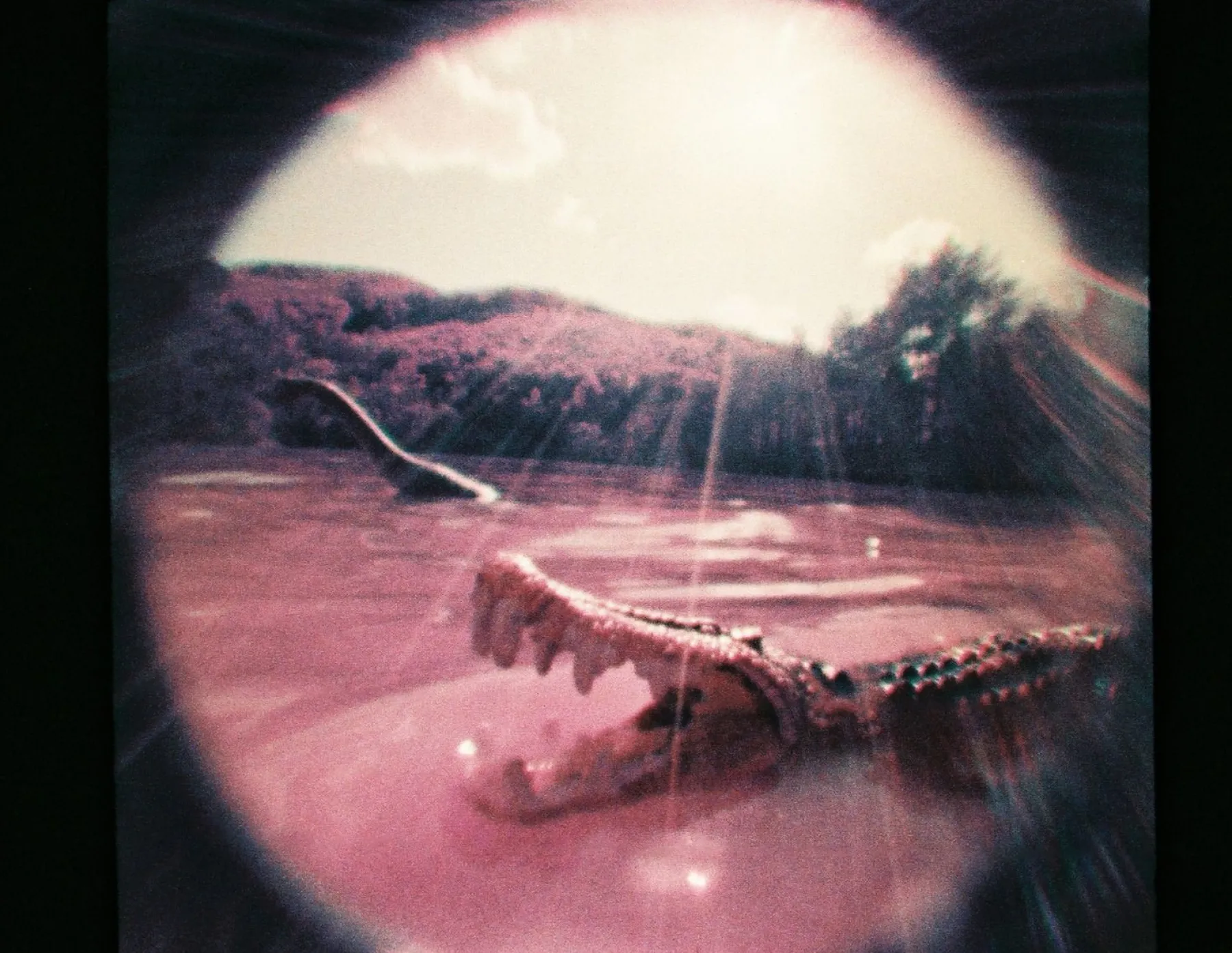 Store Fisheye Baby 110 Gold Experimental|110 Cameras