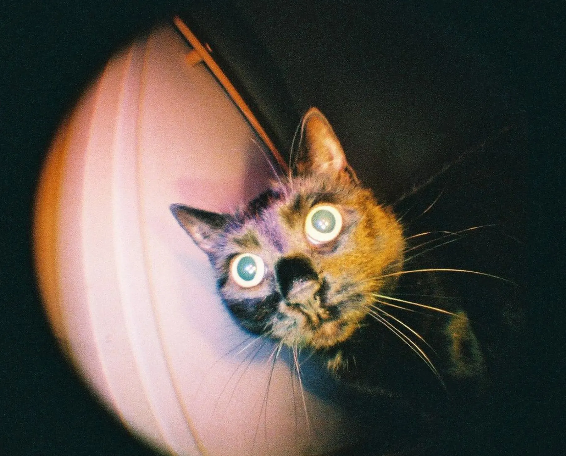 Hot Fisheye Baby Metal Black Experimental|110 Cameras