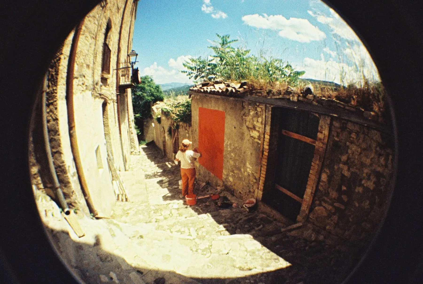 Sale Fisheye No. 2 Papaya Pop 35 mm Camera Experimental