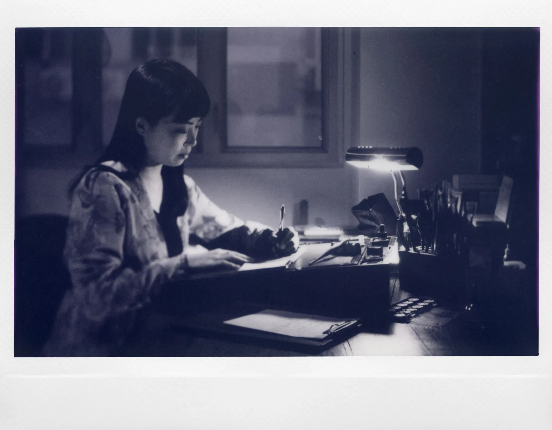 Shop LomoGraflok 4×5 Instant Back Accessories