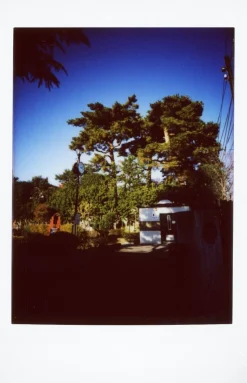 Flash Sale Lomo’Instant Automat Glass Ema Ichikawa Edition Cameras