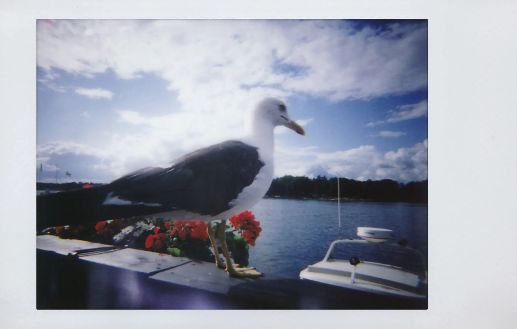 Discount Lomo’Instant Camera & Lenses Sanremo Edition Cameras