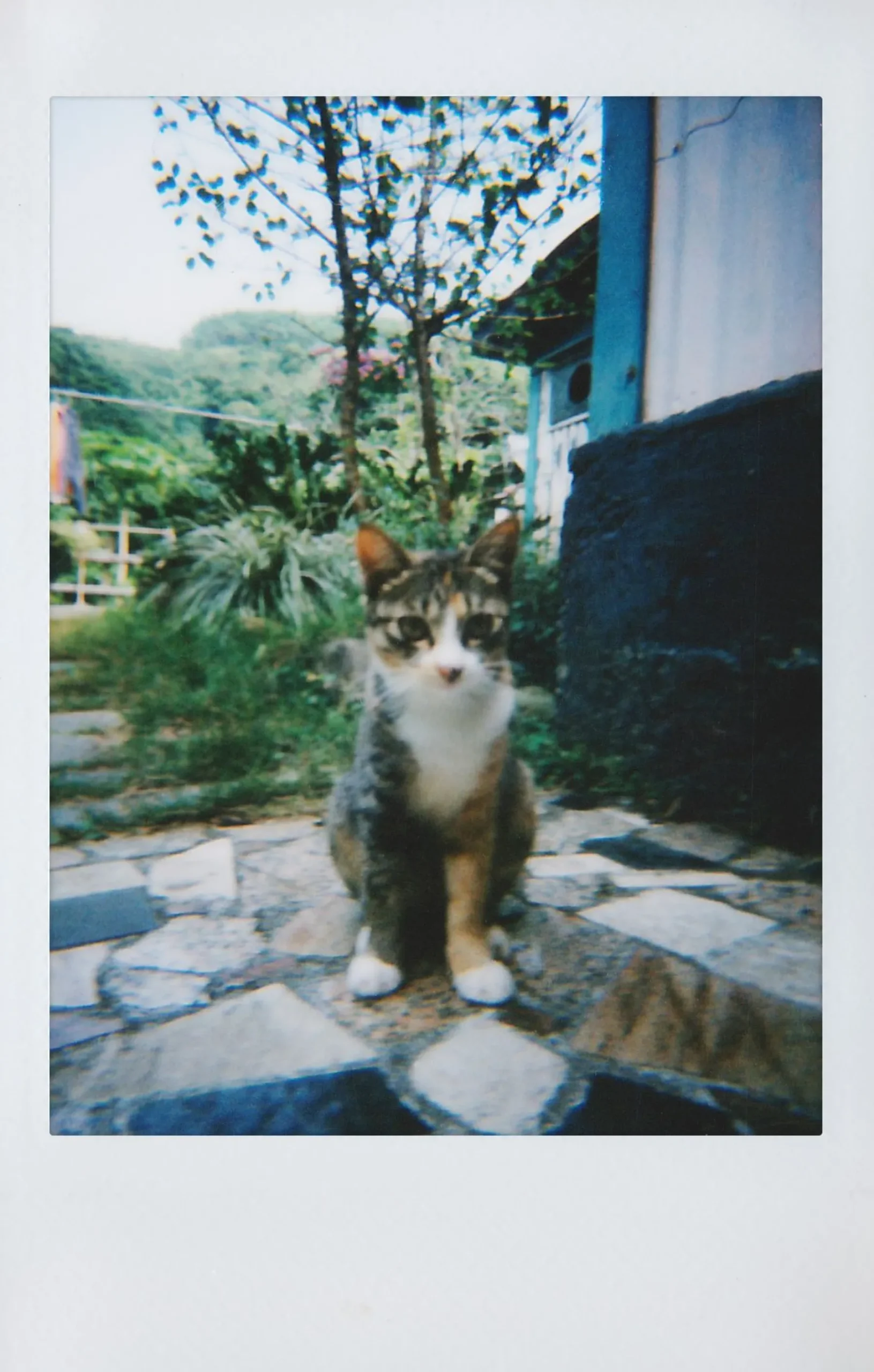 Best Sale Lomo’Instant Camera and Lenses Marrakesh Cameras
