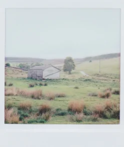 Shop Lomo’Instant Square Glass All you need Bundle Cameras