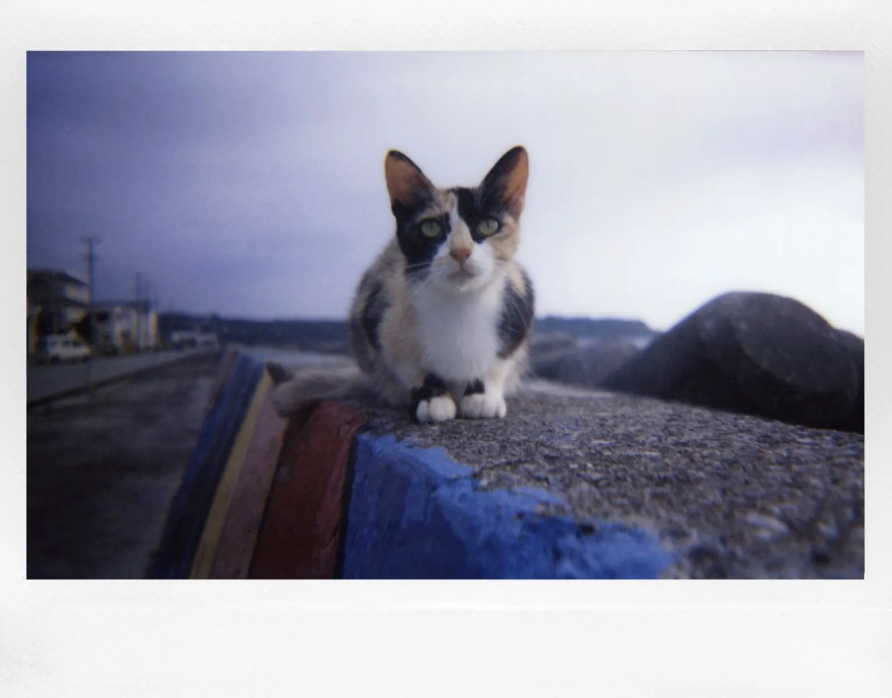 Sale Lomo’Instant Wide Camera Black Edition Cameras