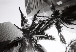 New Simple Use Reloadable Film Camera Black & White Simple Use
