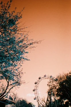 Outlet Simple Use Reloadable Film Camera LomoChrome Turquoise Lomochrome Films|Simple Use