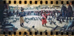 Cheap Sprocket Rocket 35 mm Panoramic Camera Experimental